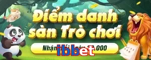 ibbet