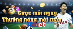 ibbet
